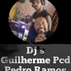 DJ PEDRO  E  DJ GUILHERME PCD